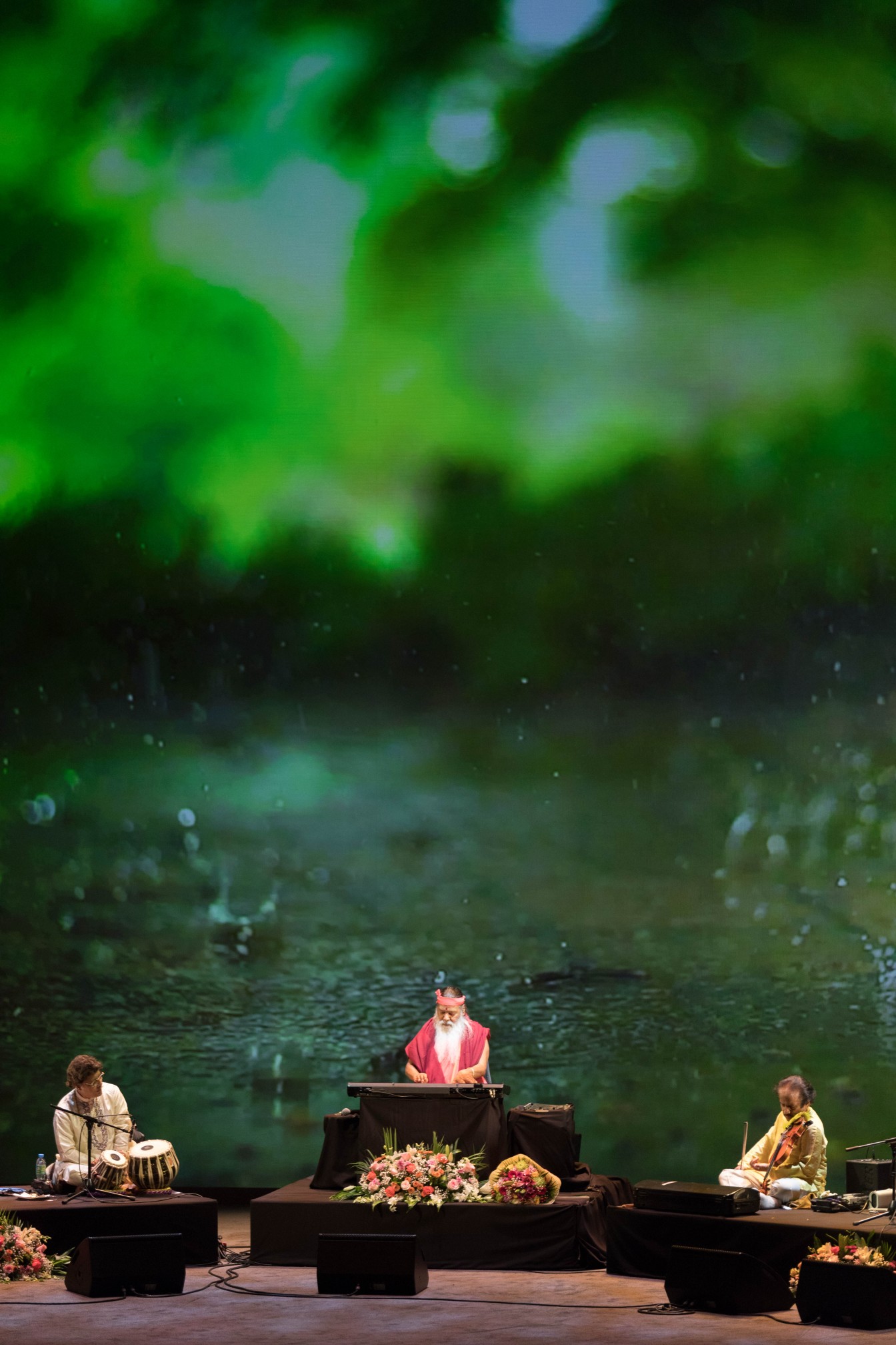 Concert — trio performance, rain forest backdrop